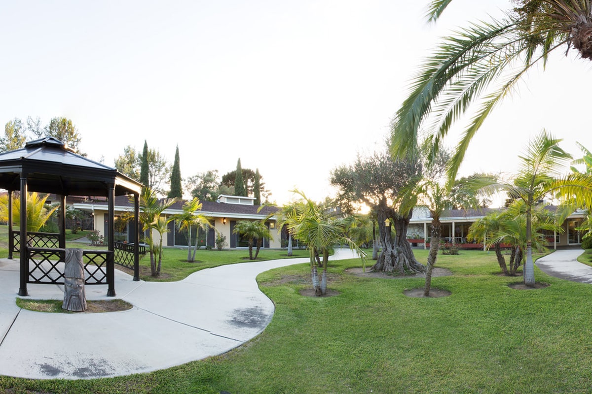 View of back outdoor area with palm trees, sidewalk, black gazebo, and facility.