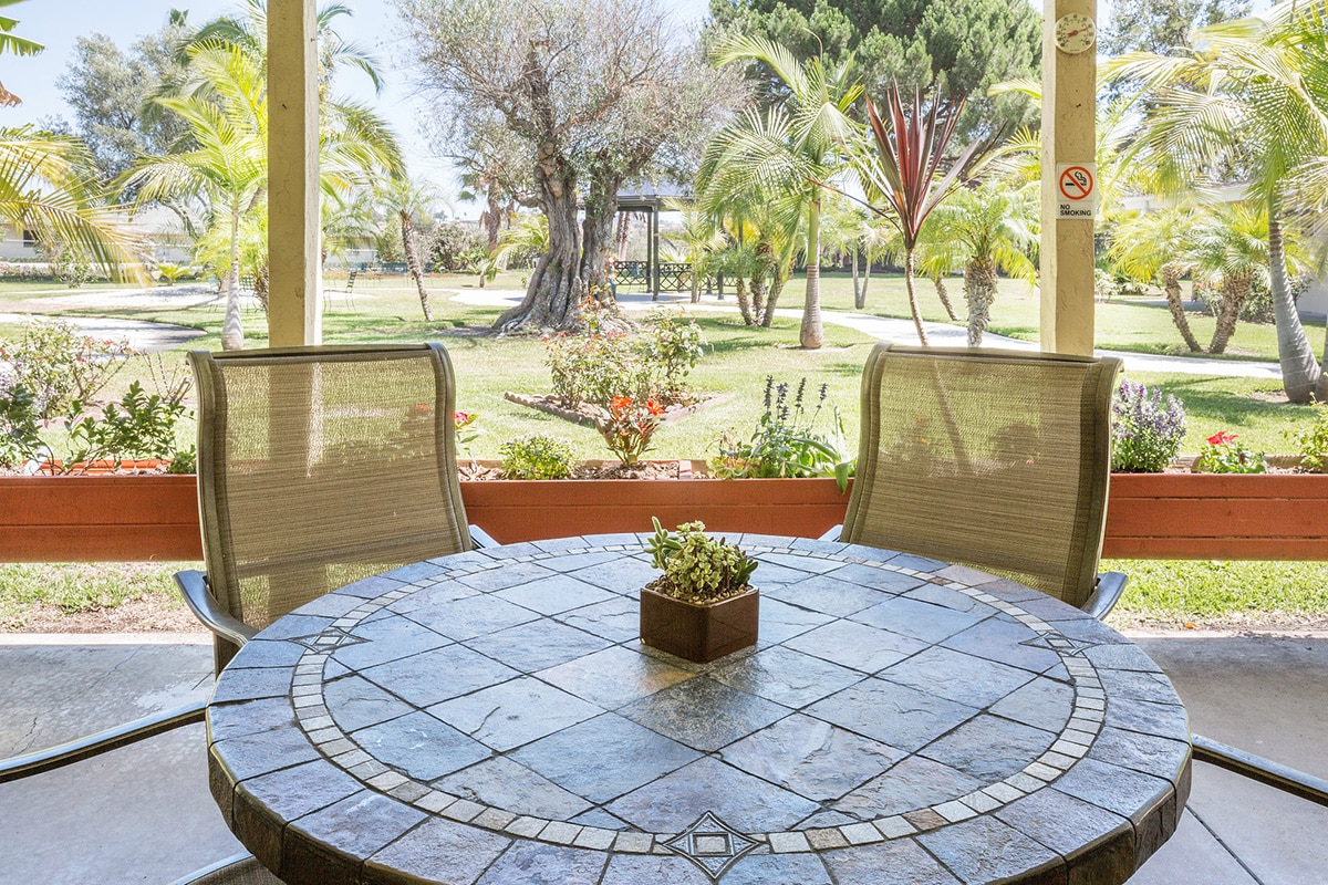 Outside round table on the patio with palm trees in the background.