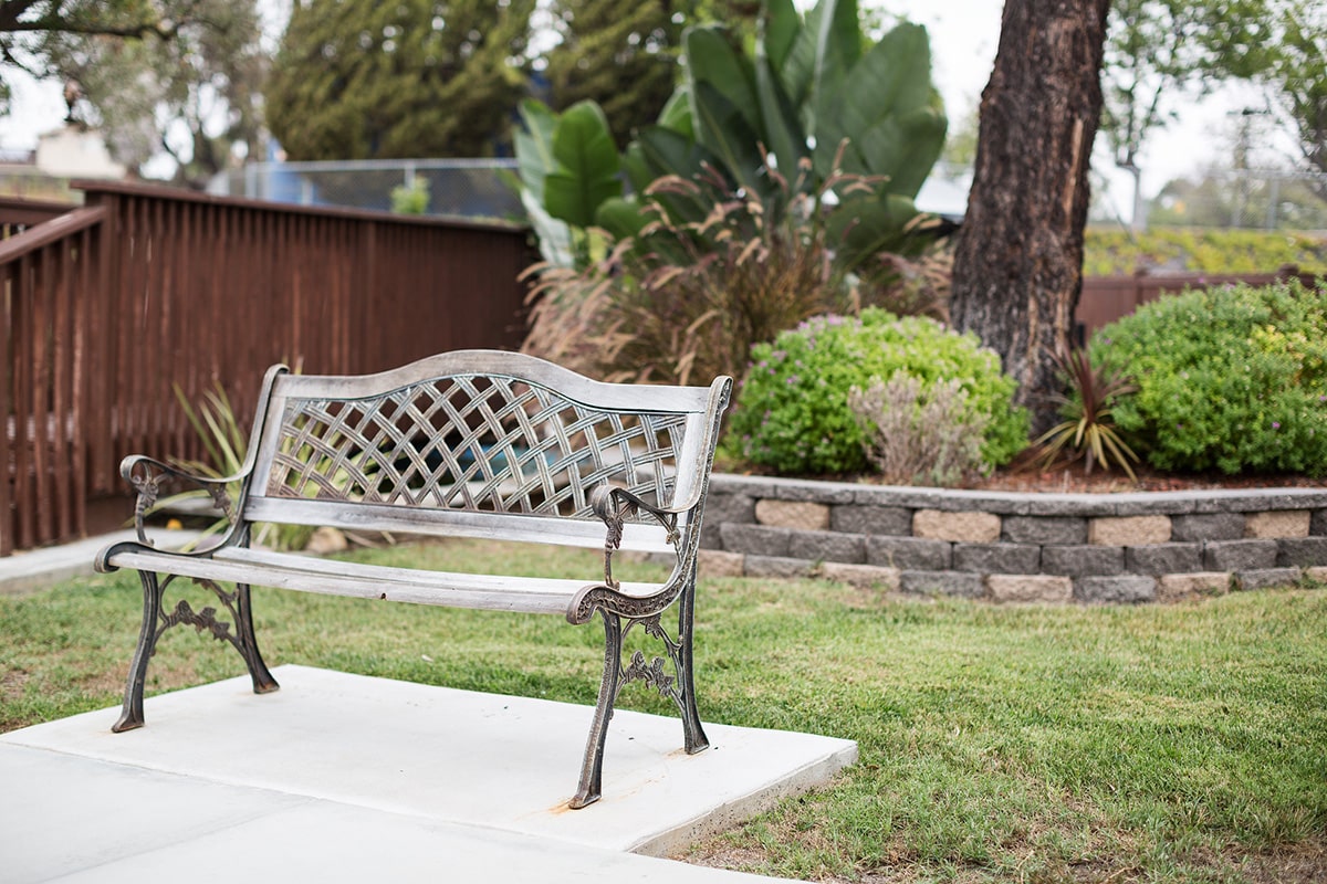 Bench out in the courtyard with grass, trees, and walking bridge in the background.