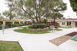 walking paths, trees, and green grass at La Paloma Healthcare Center